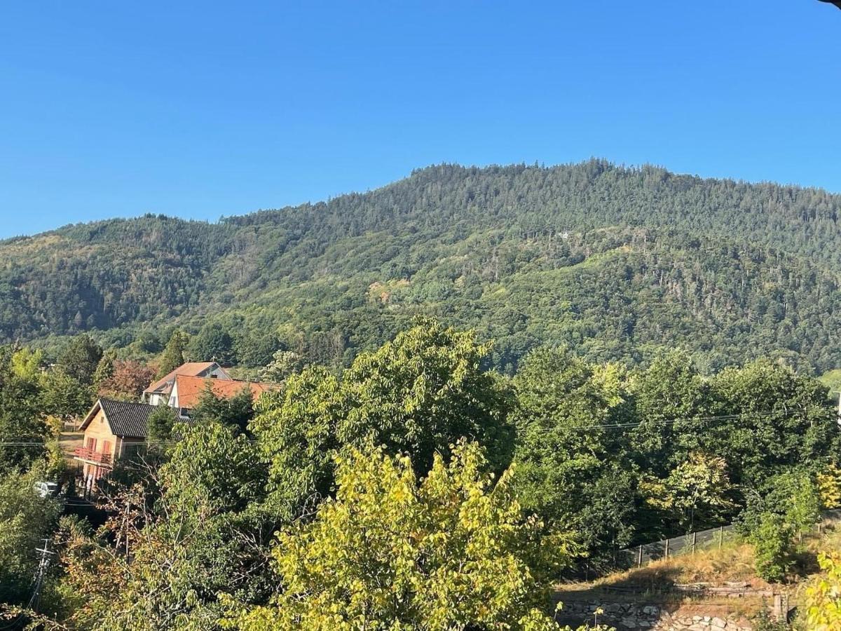 Le Manoir Des Sens - Foret De Bergheim Luaran gambar