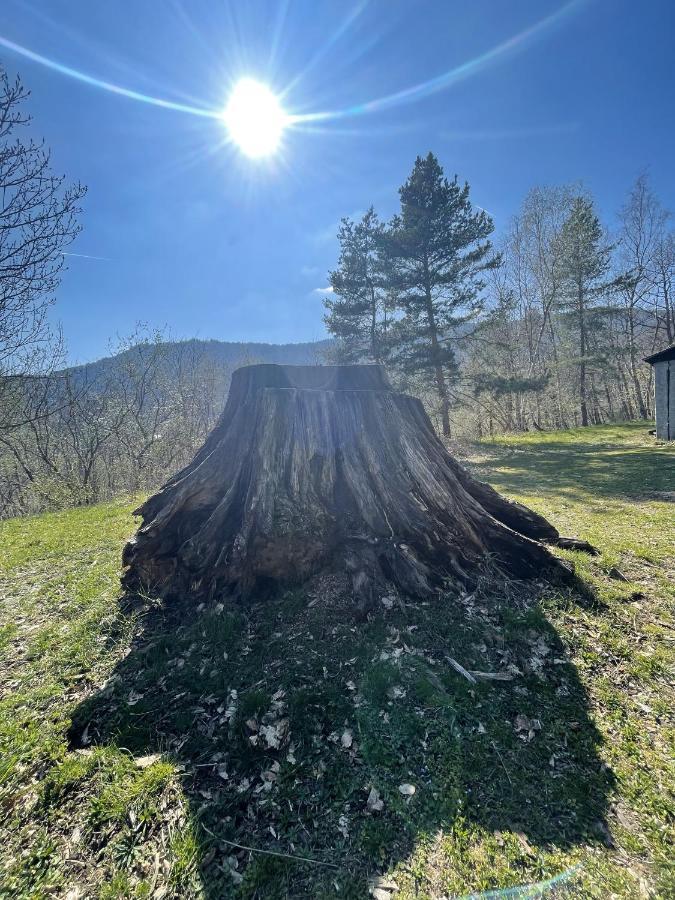 Le Manoir Des Sens - Foret De Bergheim Luaran gambar